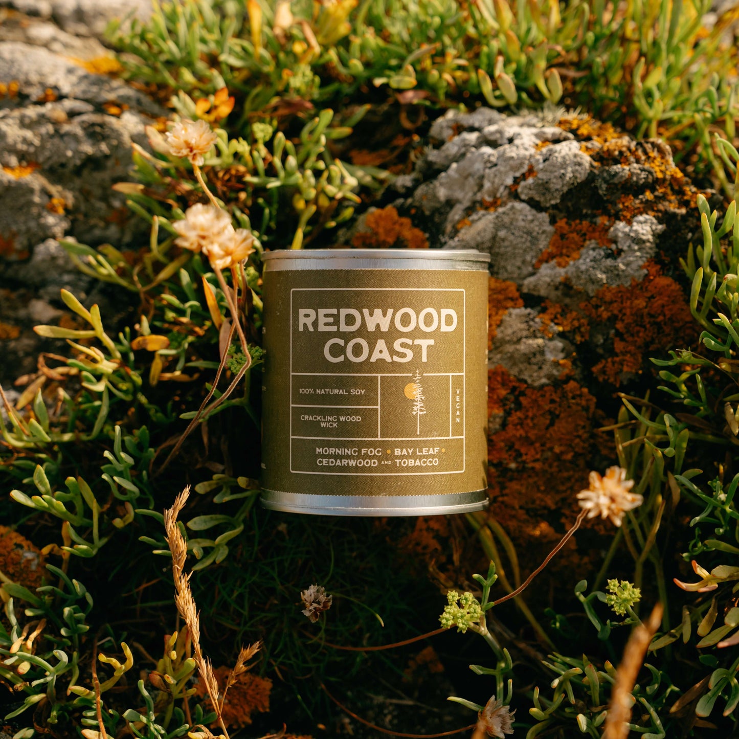 Redwood Coast soy candle with wooden wick, scented with morning fog, bay leaf, cedarwood and tobacco. Eco-friendly vegan candle inspired by California redwood forests, styled outdoors in nature.