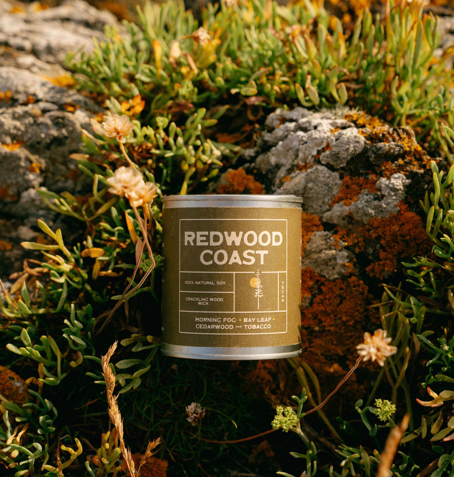 Redwood Coast soy candle with wooden wick, scented with morning fog, bay leaf, cedarwood and tobacco. Eco-friendly vegan candle inspired by California redwood forests, styled outdoors in nature.