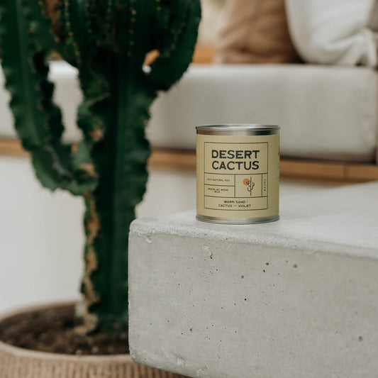 Desert Cactus soy candle on a cement ledge in a Cornish coastal home, with a large cactus in a stone pot in the background, styled with desert-modern decor.  Hand poured by kernowfornia soul candle co.