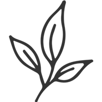 100% Soy Wax | clean burning